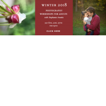 Thumbnail of Winter 2018 – Mini Photography Workshops With Stephanie Anestis project